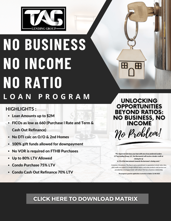 NO BUSINESS, NO INCOME, NO RATIO LOANS-1